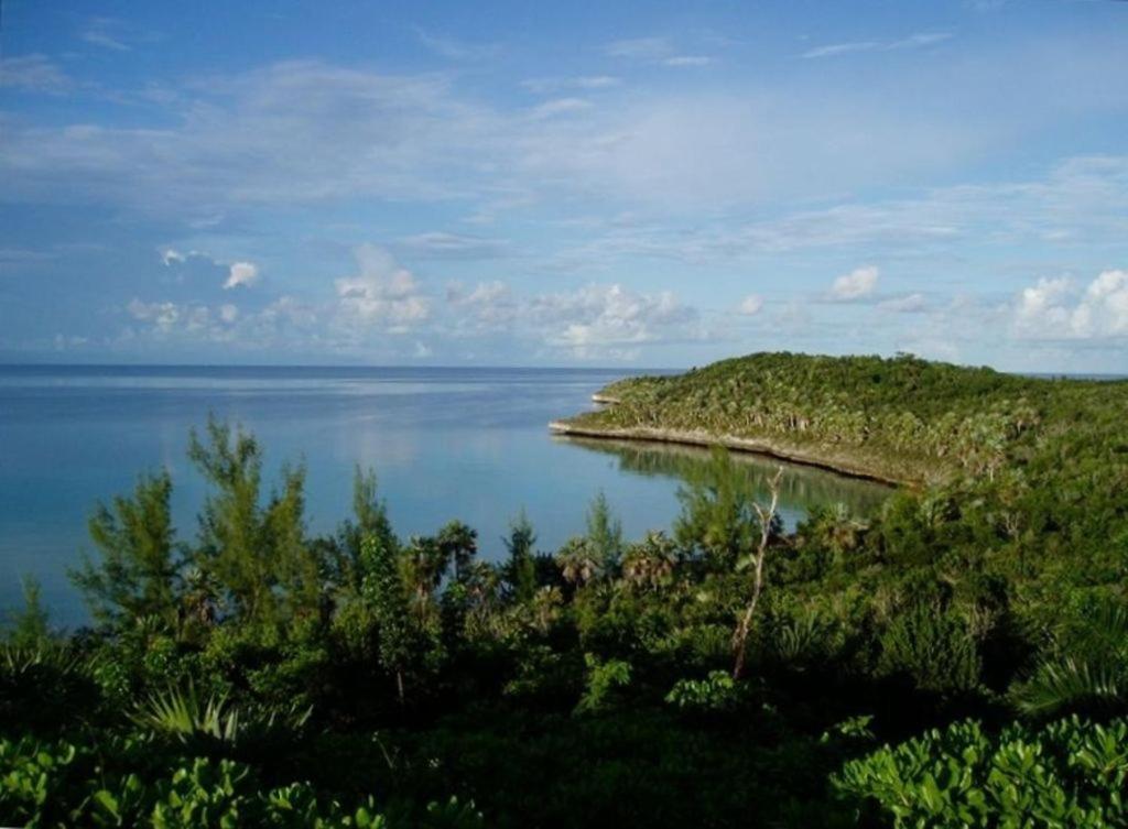 Beside The Pointe Cottage Savannah Sound Екстер'єр фото